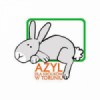 Fundacja Azyl dla Królików
