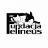 Fundacja dla bezdomnych zwierząt FELINEUS